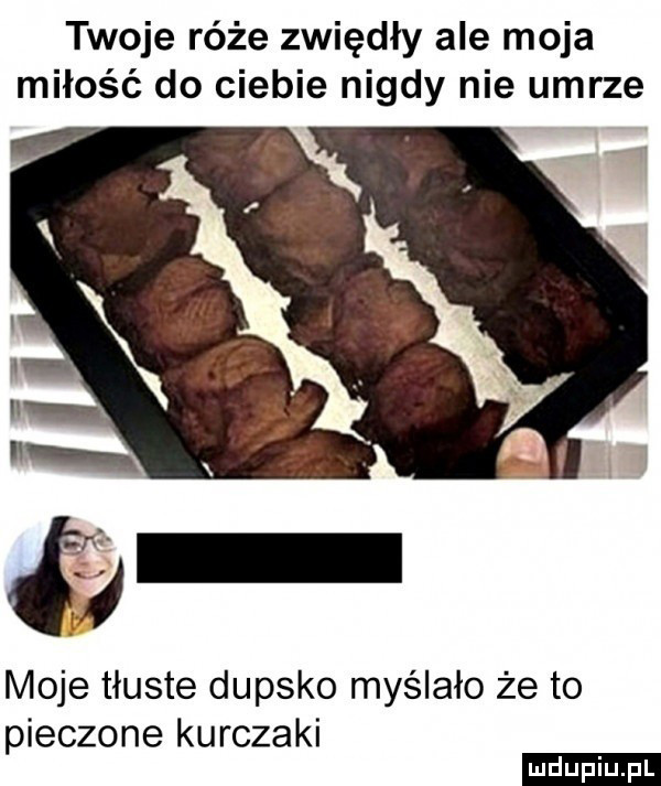 twoje róże zwiędły ale moja miłość do ciebie nigdy nie umrze moje tłuste dupsko myślało że to pieczone kurczaki