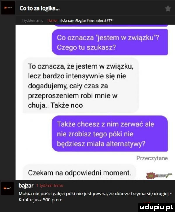 zuk gna xmm ﬂash m to oznacza że jestem w związku lecz bardzo intensywnie się nie dogadujemy cały czas za przeproszeniem robi mnie w chuja. także neo czekam na odpowiedni moment bajzel małpa me puaz i gałęzi póki manes pewna ze dobrze trzyma się drugiq koniuqusz     pm e
