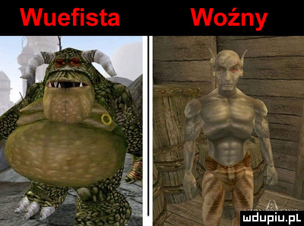woźny wuefista