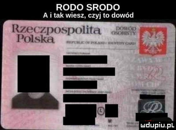 rodo srodo a i tak wiesz czy to dowód www pu pulih   ih llbkzl