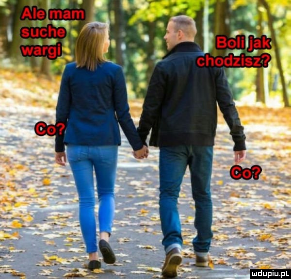 Suche wargi