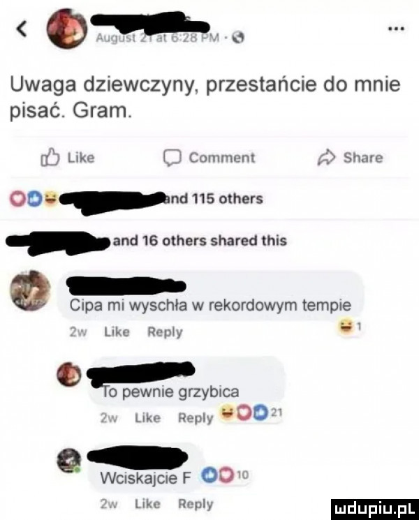 q u uwaga dziewczyny. przestańcie do mnie pisać. gram. rf like comment soave ooo nd     others and    others shared tais a capa ml wyschła w rekordowym temple leu rumy b o i o pewnie grzybica lm rally ooo chskame f oo m rr pl