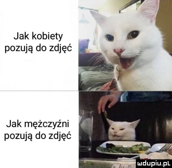 jak kobiety. pozują do zdjęć jak mężczyźni pozują do zdjęć