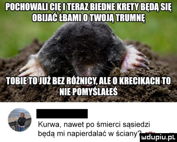i llﬂllllwali gnę i ieiial bięiiiię krety bęiia się obiiaóeami i iwiiia iiiiimne a iiibie tai ilii bal różnicy alę i kręgikaiiii ibl idę i llmyślałęś kurwa nawet po śmierci sąsiedzi będą mi napierdalać w ściany mmpm pl