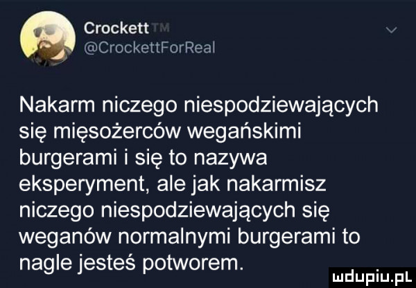 crockett crockettforrea nakarm niczego niespodziewających się mięsożerców wegańskimi burgerami i się to nazywa eksperyment ale jak nakarmisz niczego niespodziewających się weganów normalnymi burgerami to nagle jestes potworem. mnpm fl