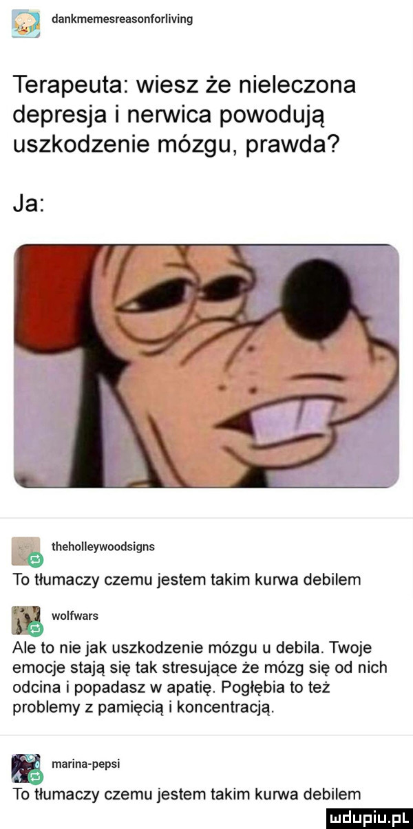 dankmemesreasonforliving. terapeuta wiesz że nieleczona depresja i nerwica powodują uszkodzenie mózgu prawda ja lheholleywoadsigns to tlumaczy czemu jestem takim kurwa debilem   wulfwars ale to nie jak uszkodzenie mózgu u debila. twoje emocje stają się tak stresujące że mózg się od nich odcina i popadasz w apatię. poglebia to też problemy z pamięcią i koncentracją. marina pepsi to tlumaczy czemu jestem takim kurwa debilem ludu iu. l