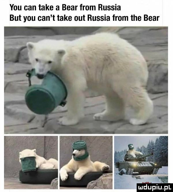 y-u cen take a bear from russia but y-u cen t take out russia from tee bear