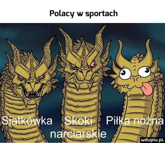 Polacy w sportach