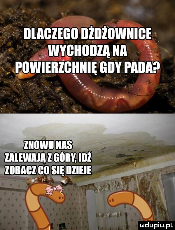 iiiiii zhi i nenio iiiiiii i iiiiii iii nzii a rowiinzcniiiiunv pam zaiewaia l góry. illl llllﬂﬁl    gill x. u i. i