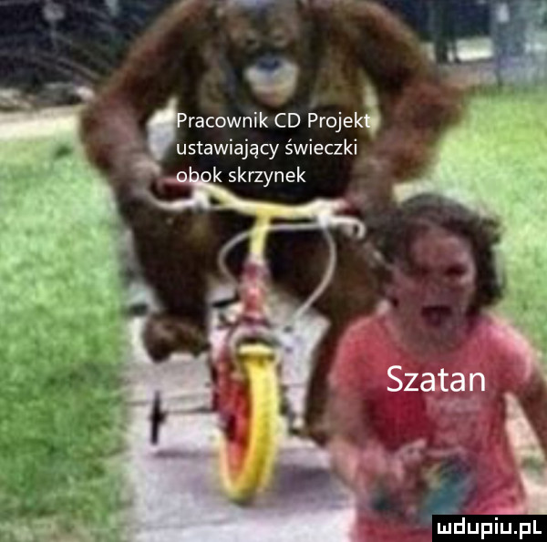 ratownik cd procek ustawiający świeczki k skrzynek   mdupiupl