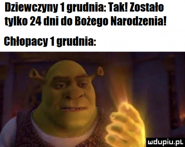 zigwgzviiv   grudnia lak lnstałn tylko    dni iii boże narodzenia minimini grudnia