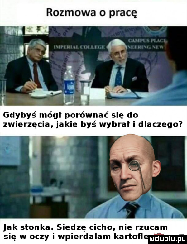 rozmowa o pracę x gdybys módl porównać się do zwierzęcia jakie byś wybrał i dlaczego jak stonka. siedzę cicho nie rzucam się w oczy i wpierdalam kartofl lmdﬁpiupl