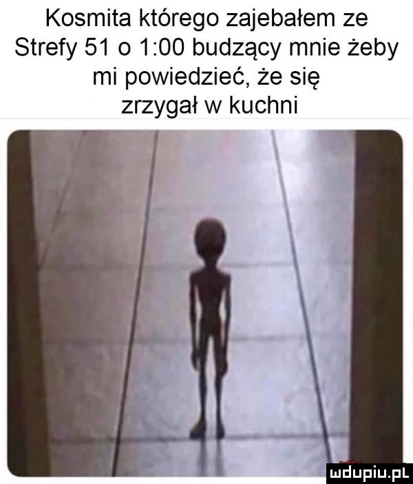 kosmita którego zajebałem ze strefy    o      budzący mnie żeby mi powiedzieć że się zrzygał w kuchni