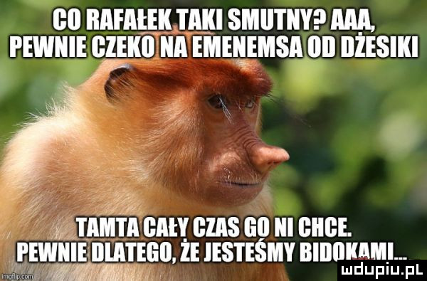 ibl iiiieiii ebi i iiiii smiitiiy ilia. pewnie glewii ilii emeiiemsii iii ilżesiiii y i ibm i ii bch ems ell iii iiiige. pewnie miłego że ihs i emmy biiiiiimmi. lud uplu. pl
