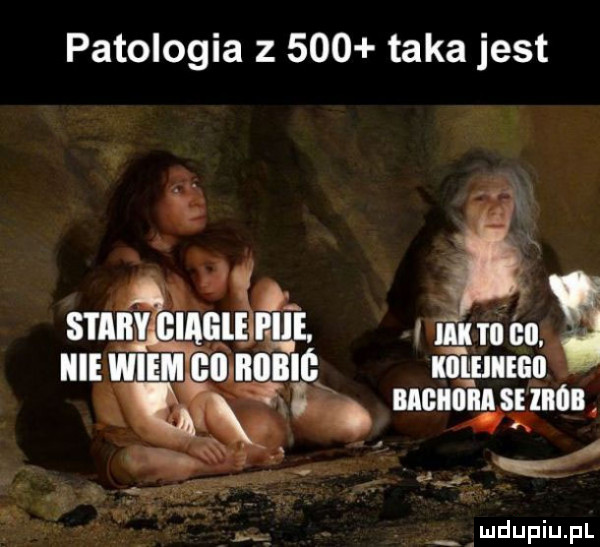 patologia       taka jest ﬂ.   x sum mel n ﬁi cfmm im. e mmm ca nade mam bigiidii se man mdupiupl