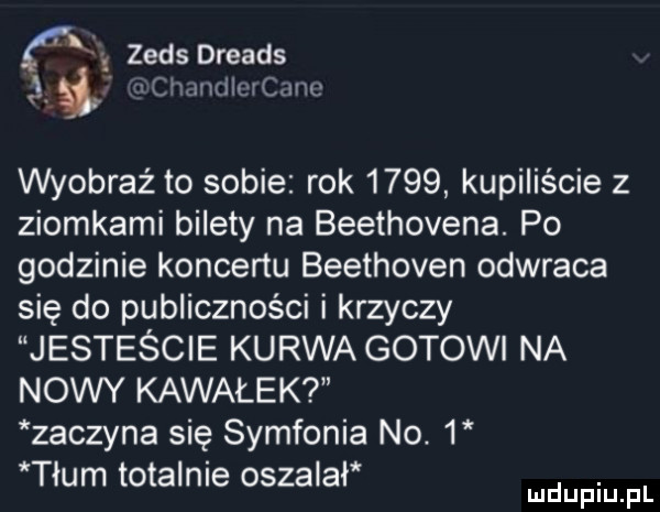 fk zeus dreads cimiuiicicnnc wyobraź to sobie rok      kupiliście z ziomkami bilety na beethovena. po godzinie koncertu beethoven odwraca się do publiczności i krzyczy jesteście kurwa gotowi na nowy kawałek zaczyna się symfonia no.   tłum totalnie oszalał duciu f