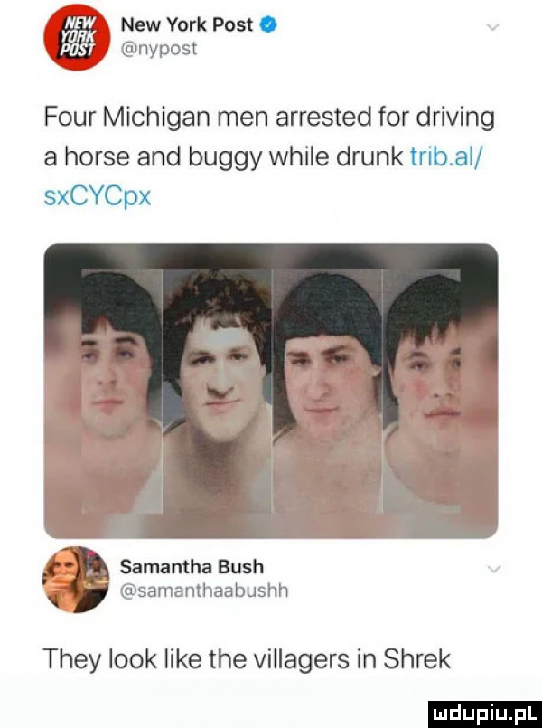 kx naw york post. l mar l pasu nypost k four michigan men arrested for driving a house and buggy weile drink trąb a stycpx l samantha bush i samanthaabushh they look like tee villagers in shrek