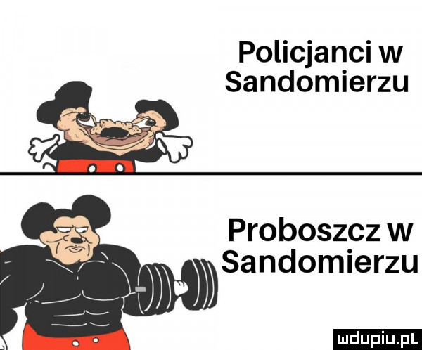 policjanci w sandomierzu proboszcz w sandomierzu ludu iu. l