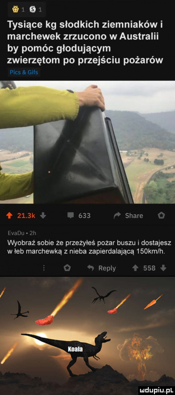 f    tysiące kg słodkich ziemniaków i marchewek zrzucono w australii by pomóc głodującym zwierzętom po przejściu pożarów pias gips     stare pml m fu wyobraź sobie że przeżyłeś pożar buszu i dostajesz w łeb marchewką z nieba zapierdalającą    kmlh. repry     l