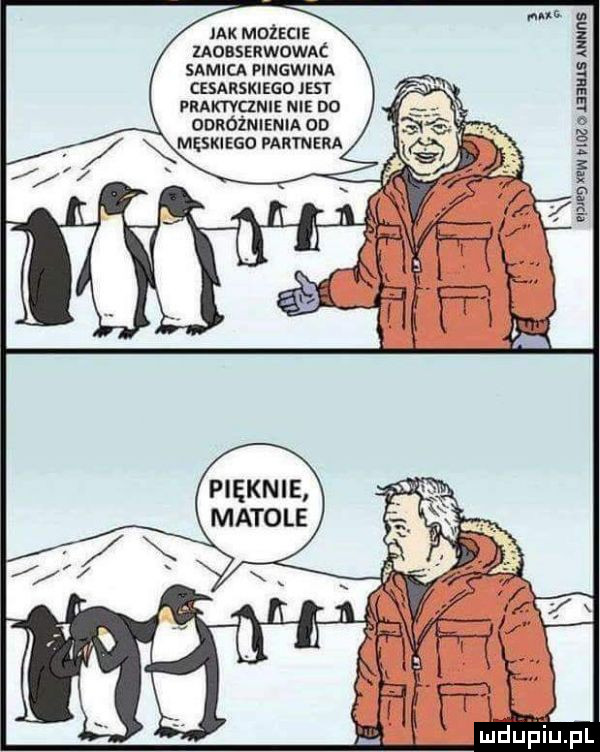jak możecie uossmwowtxć suwu pwcwmu czsnmsmmo      pnmgzm i do odroznienia on męskiego magma pięknie matole. é l