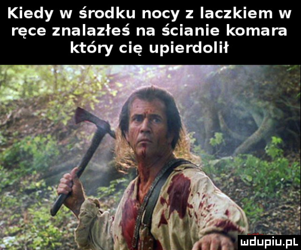 kiedy w środku nocy z laczkiem w ręce znalazłeś na ścianie komara który cię upierdolił
