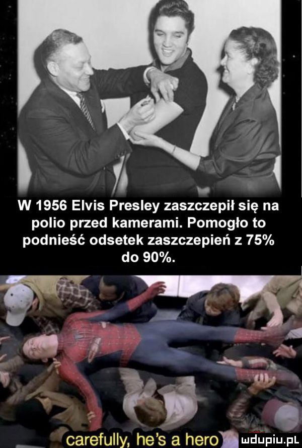w      elvis presley zaszczepił się na polio przed kamerami. pomogło to podnieść odsetek zaszczepień z    do   .    l v p carefully he s a hero