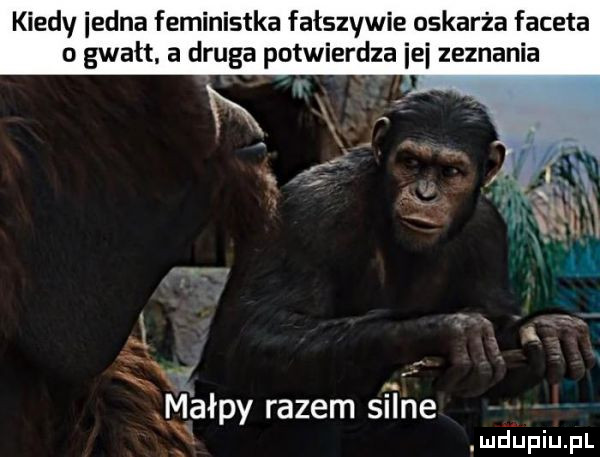 kiedy iedna feministka fałszywie oskarża faceta o gwałt a druga potwierdza ici zeznania nv j małpy razem silne mdﬁpiupl