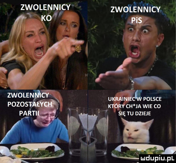 zwolen idy zwoténnicmg. w i  . umm polsce   va ch ja wie co w ślę tu dzieje v