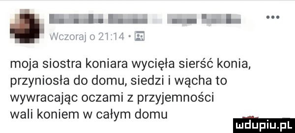 kii hr il wcmiai zi m moja siostra koniara wycięła sierść konia przyniosła do domu siedzi i wącha to wywracając oczami z przyjemności wali koniem w całym domu
