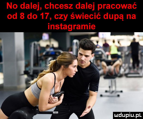 no dalej chcesz dalej pracować od   do    czy świecić dupą na instagramie l a wdupiu pl