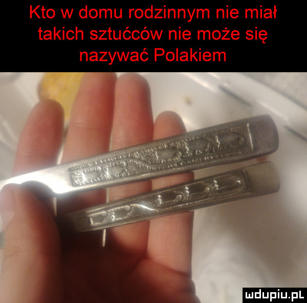 kto w domu rodzinnym nie miał takich sztućców nie może się nazywać polakiem ludu iu. l