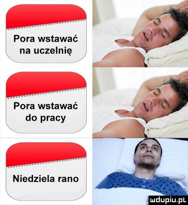 pora wstawać na uczelnię pora wstawać do pracy niedziela rano