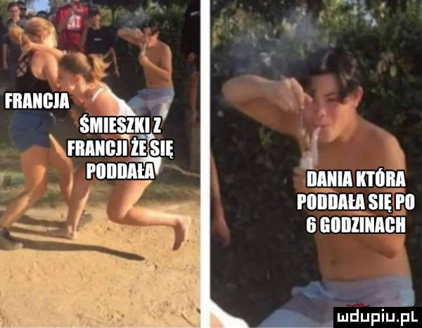 w   a u rnnntęiu śmiem zi xml. łwnk.   mdupiipl