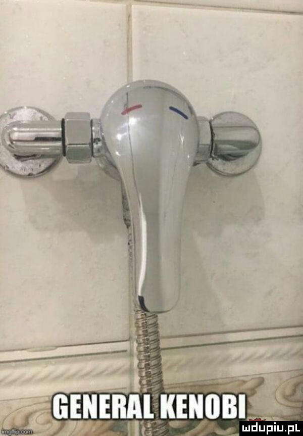 ibj kenilbź g ludupiu. pl