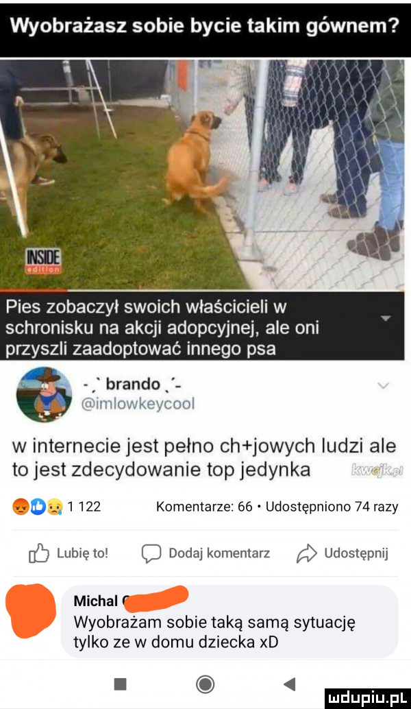 bratasz sobie bycie takim gbw pies zobaczył swoich właścicieli w schronisku na akcji adopcyjne ale oni przyszli zaadoptować innego psa brando r unlowkeycool w internecie jest pełno ch jowych ludzi ale to jest zdecydowanie top jedynka u         komentarze    udostępniono    razy lubię    c dodaj komentarz udostępnij michal r wyobrażam sobie taką samą sytuację tylko ze w domu dziecka xd