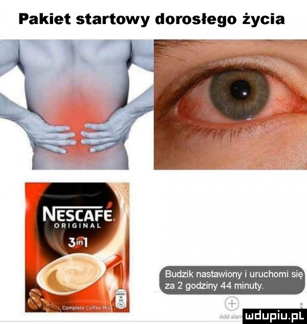 pakiet startowy dorosłego życia nescafś. oryginal      budzik nasmwionyi uruchomi się za   godziny    minuty. ig a ludu iu. l