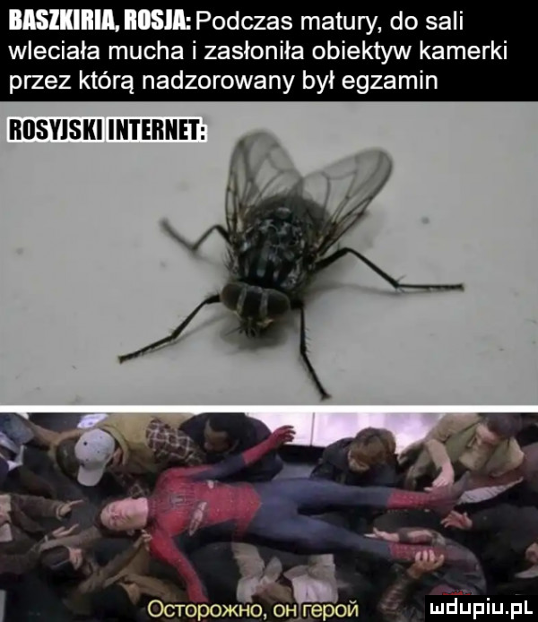 basziiiiia. mill podczas matury do sali wleciała mucha i zasłoniła obiektyw kamerki przez którą nadzorowany był egzamin husyiski internet