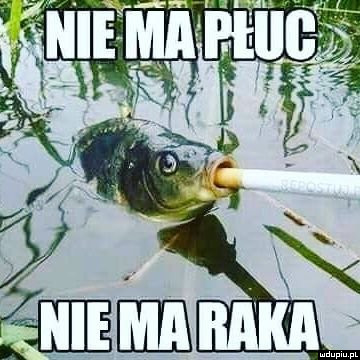 Nie ma płuc, nie ma raka płuc