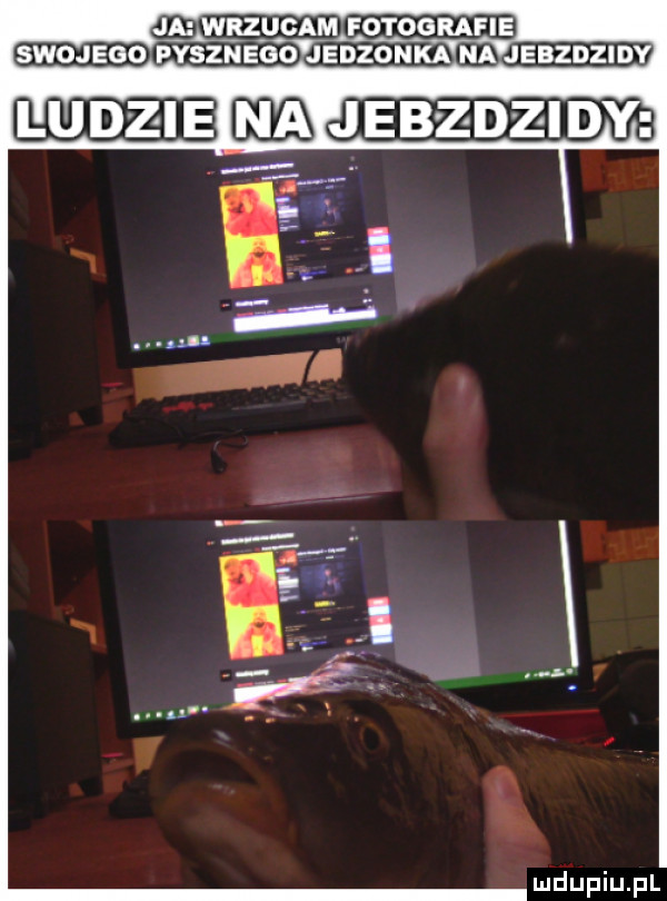 ja wrzucam fotografie swojego pysznego jedzonka na jebzdzid