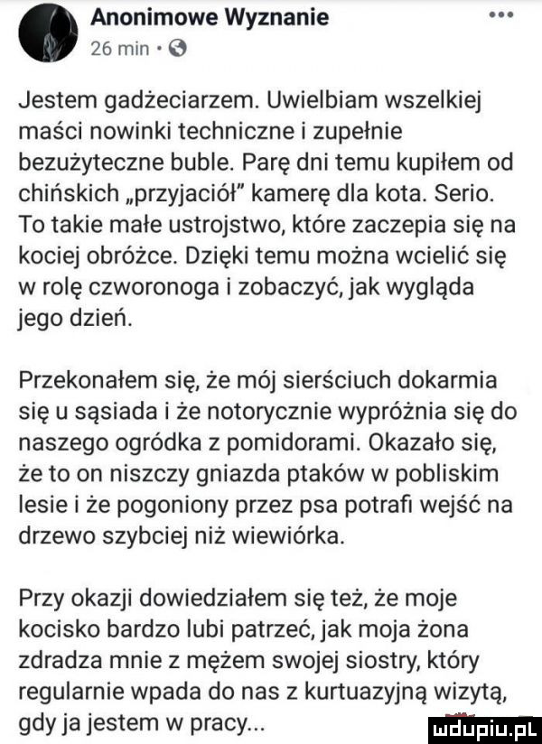 anonimowe wyznanie jestem gadżeciarzem. uwielbiam wszelkiej maści nowinki techniczne i zupełnie bezużyteczne buble. parę dni temu kupilem od chińskich przyjaciół kamerę dla kota serio. to takie małe ustrojstwo które zaczepia się na kociej obróbce. dzięki temu można wcielić się w rolę czworonoga i zobaczyć jak wygląda jego dzień. przekonałem się że mój sierściuch dokarmia się u sasiada i że notorycznie wypróżnia się do naszego ogródka z pomidorami. okazało się ze to on niszczy gniazda ptaków w pobliskim lesie i ze pogoniony przez psa potrafi wejść na drzewo szybciej niz wiewiórka. przy okazji dowiedziałem się też że moje kocisko bardzo lubi patrzeć jak moja zona zdradza mnie z mężem swojej siostry który regularnie wpada do nas z kurtuazyjna wizytą gdyba jestem w pracy