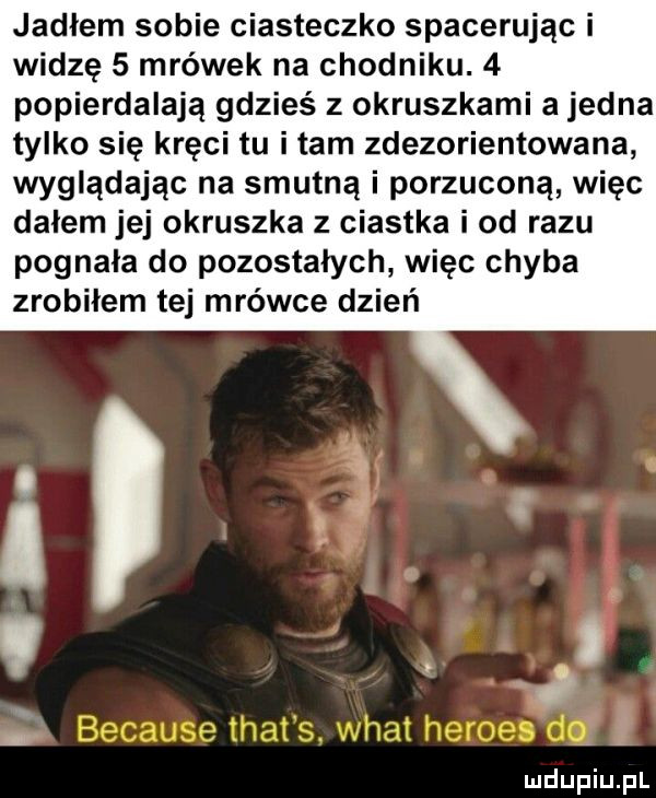 jadłem sobie ciasteczko spacerując i widzę   mrówek na chodniku.   popierdalają gdzieś z okruszkami a jedna tylko się kręci tu imam zdezorientowana wyglądając na smutną i porzuconą więc dałem jej okruszka z ciastka i od razu pognała do pozostałych więc chyba zrobiłem tej mrówce dzień