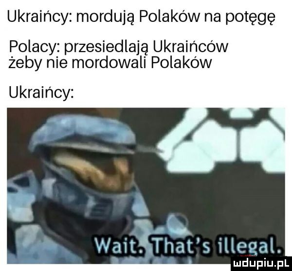 ukraińcy mordują polaków na potęgę polacy przesiedlają ukraińców żeby nie mordowali polakow ukraińcy walt. trat s illegal