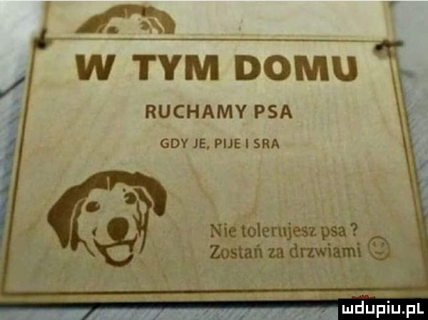 ruchamy psa gdy je pije i sra nigiglerujeez psa magma v ław  u. abakankami.