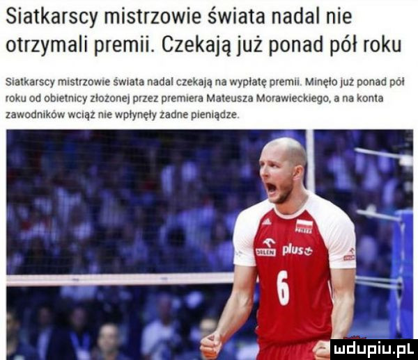 siatkarscy mistrzowie świata nadal nie otrzymali premii. czekają już ponad pół roku slalkavscy mrshzowle swvata nadal czekają na wypraw memu mmęm juz ponad pm roku od omumcy zlozone przez orcmrcra mateusza mmawleclreqc a na koma zawodmkow wcqu me wpoynęry ladne pieniądze