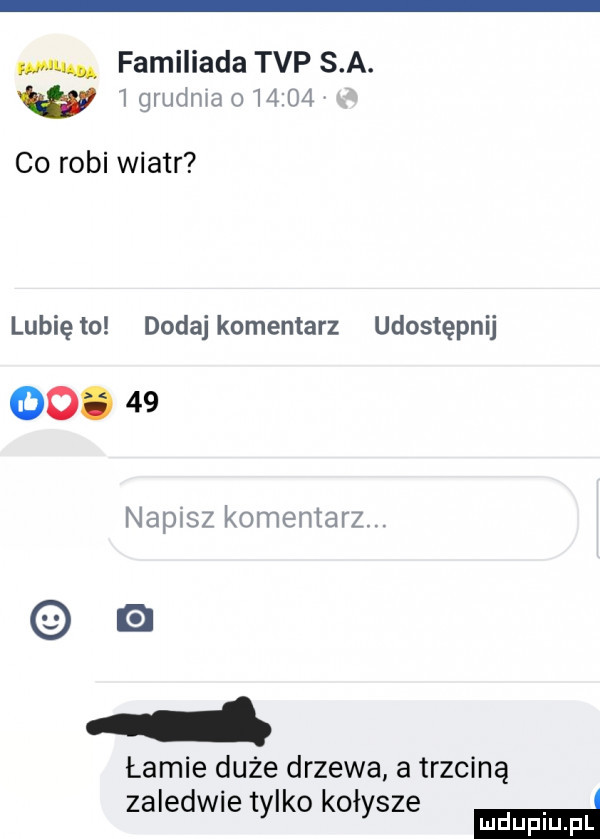 w familiada tvp s a. igrudma       co robi wiatr lunięto dodaj komentarz udostępnij oo.    napisz komentarz. łamie duże drzewa a trzciną zaledwie tylko kołysze w