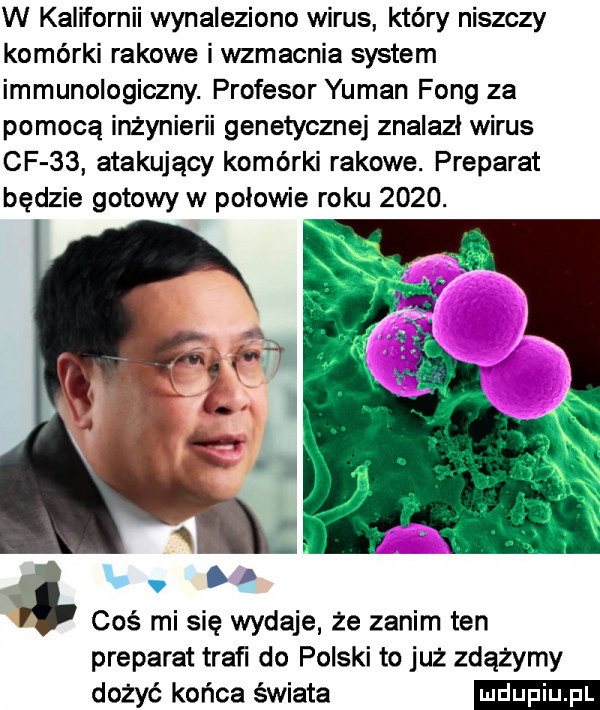 w kalifornii wynaleziono wirus który niszczy komórki rakowe i wzmacnia system immunologiczny. profesor yuman fang za pomocą inżynierii genetycznej znalazł wirus cf    atakujący komórki rakowe. preparat będzie gotowy w polowie roku     . x. abakankami coś mi się wydaje że zanim ten preparat traﬁ do polski to juz zdążymy dożyć końca świata