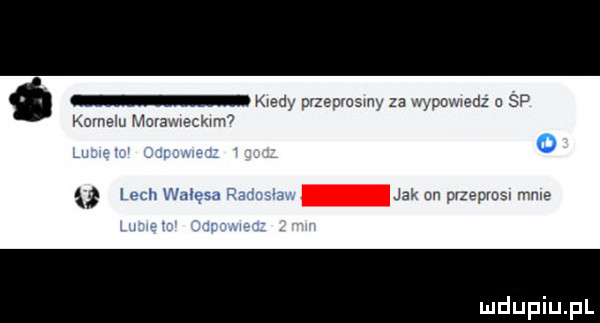 m nidy orzeomsmy    wypcwedz sp kowalu mola meckun o lech wm a jak nn mzsmus rca