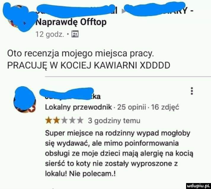 Kocia kawiarnia