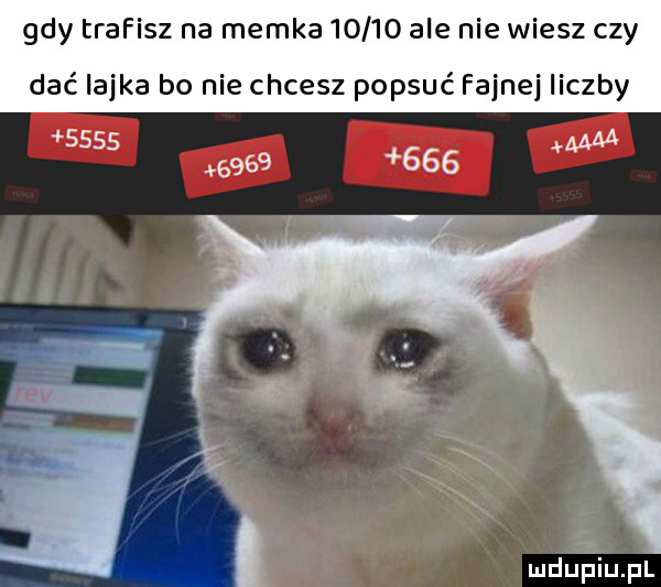 gdy trafisz na mamka       ale nie wiesz czy dać iajka bo nie chcesz popsuć fajnej liczby ludu iu. l