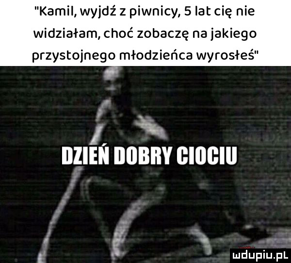 kamil wyjdz z piwnicy   lat cię nie widziałam choć zobaczę na jakiego przystojnego młodzieńca wyrosłeś. f i. iiiiein bobby ciociu